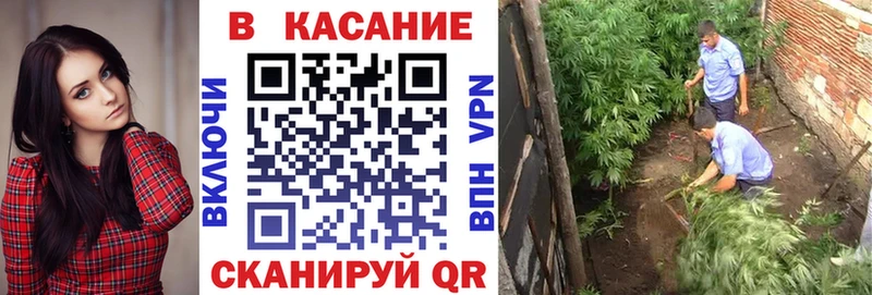 Купить закладку Пущино Амфетамин  МЕТАДОН  Меф  Канабис  Гашиш  Кокаин 