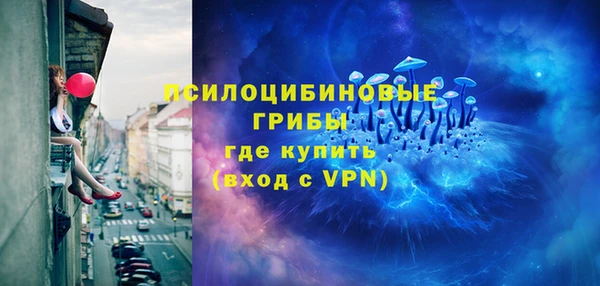 a pvp Алексин