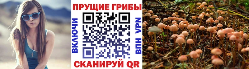 Галлюциногенные грибы GOLDEN TEACHER  хочу   Пущино 
